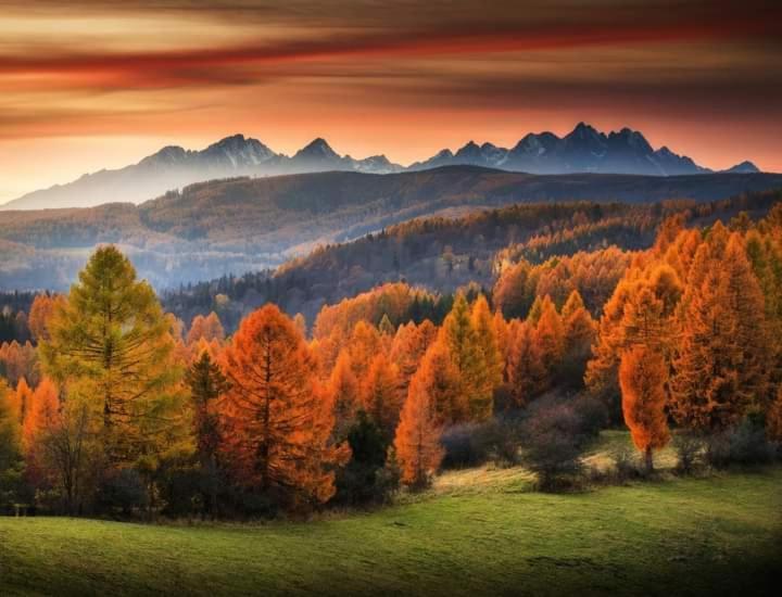 טטרנסקה לומניקה Tatry Panorama Apartmany Tatragolf מראה חיצוני תמונה
